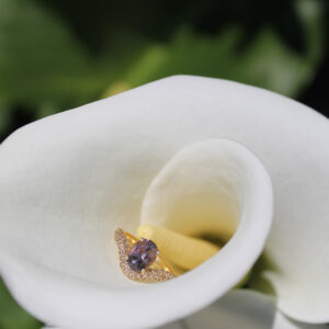Anello Tulip